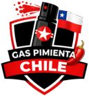 gaspimientachile.cl